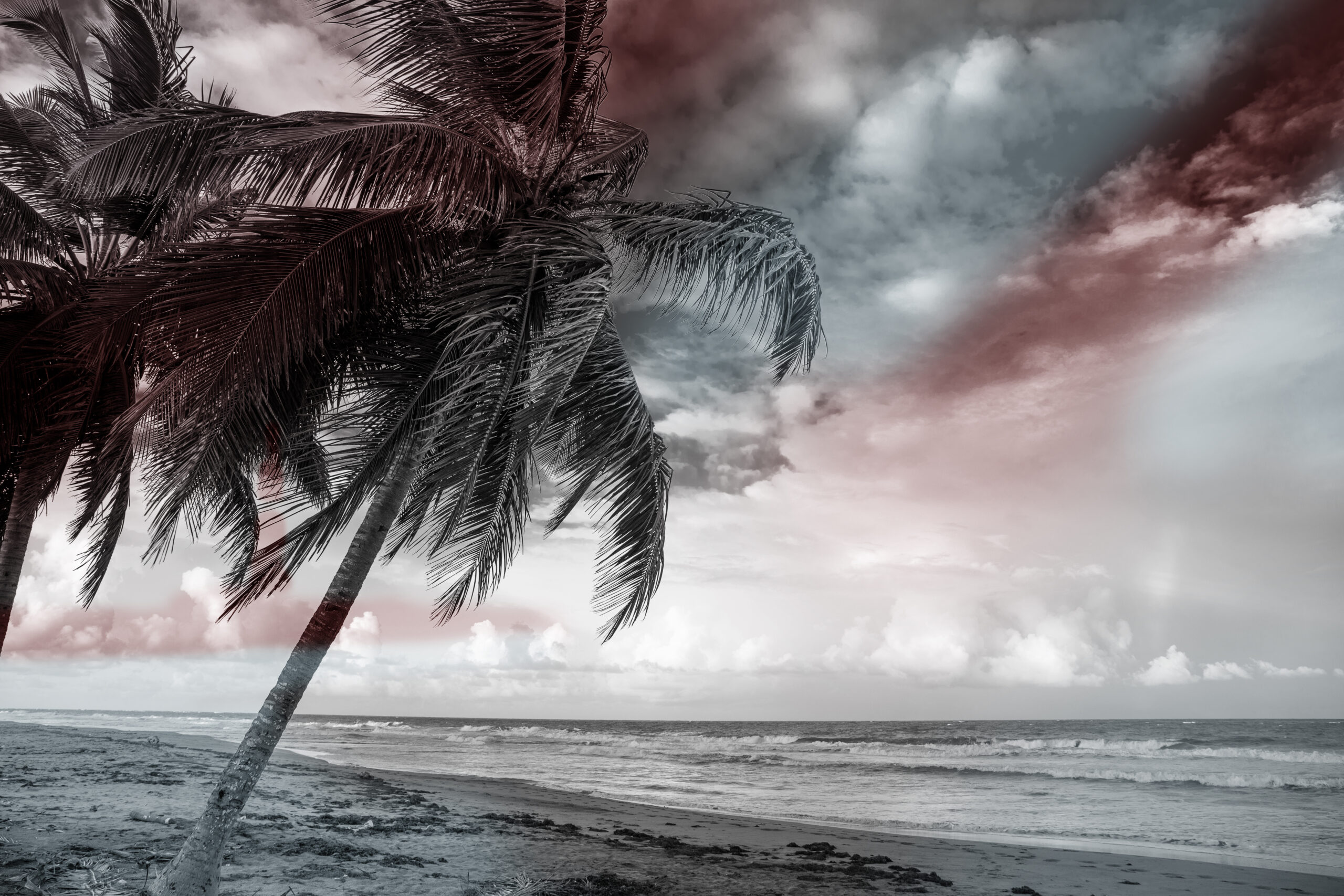 Rum Moments Background