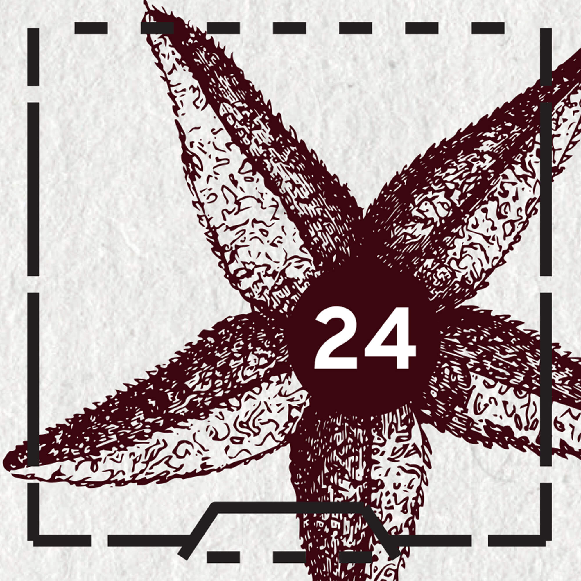 Fenster 24